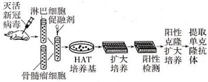 菁優(yōu)網