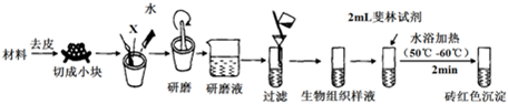 菁優(yōu)網