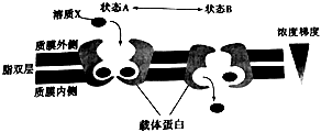 菁優(yōu)網(wǎng)