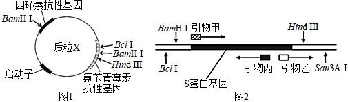 菁優(yōu)網(wǎng)