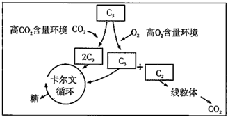 菁優(yōu)網(wǎng)