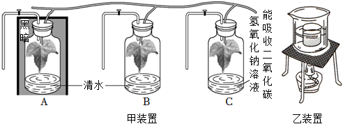 菁優(yōu)網(wǎng)