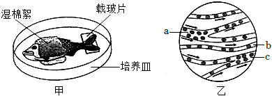 菁優(yōu)網(wǎng)