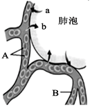 菁優(yōu)網(wǎng)