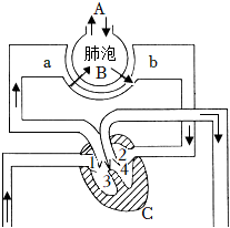 菁優(yōu)網(wǎng)