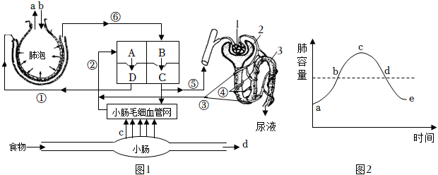 菁優(yōu)網(wǎng)