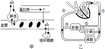 菁優(yōu)網(wǎng)