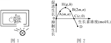 菁優(yōu)網(wǎng)