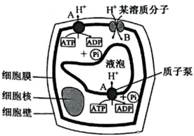 菁優(yōu)網(wǎng)