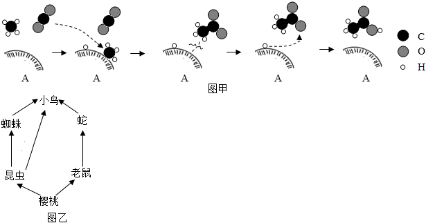 菁優(yōu)網(wǎng)