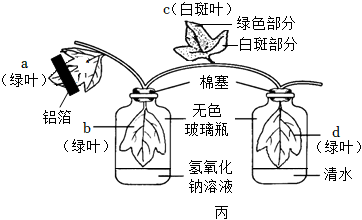 菁優(yōu)網(wǎng)