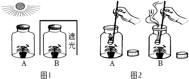 菁優(yōu)網(wǎng)