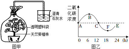 菁優(yōu)網(wǎng)