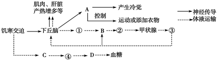 菁優(yōu)網(wǎng)