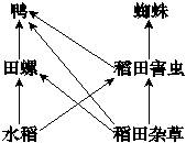 菁優(yōu)網(wǎng)