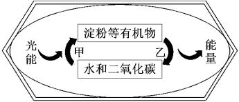 菁優(yōu)網(wǎng)