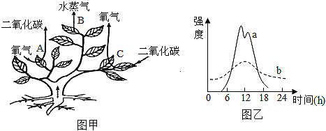 菁優(yōu)網(wǎng)