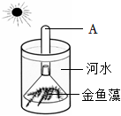 菁優(yōu)網(wǎng)