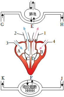 菁優(yōu)網(wǎng)