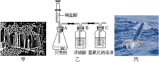 菁優(yōu)網(wǎng)