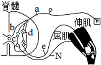 菁優(yōu)網