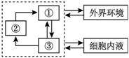 菁優(yōu)網(wǎng)