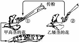 菁優(yōu)網(wǎng)