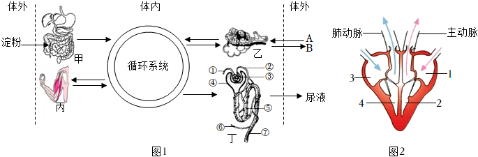 菁優(yōu)網(wǎng)