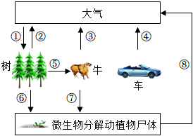 菁優(yōu)網(wǎng)