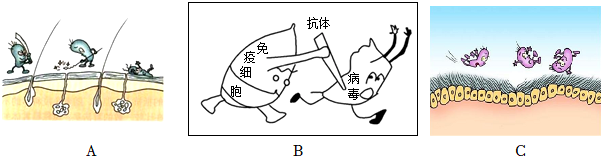 菁優(yōu)網(wǎng)