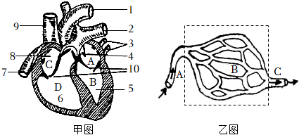 菁優(yōu)網(wǎng)