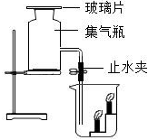 菁優(yōu)網(wǎng)