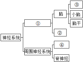 菁優(yōu)網