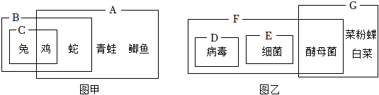 菁優(yōu)網(wǎng)