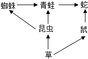 菁優(yōu)網(wǎng)