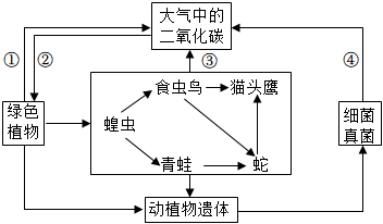 菁優(yōu)網(wǎng)