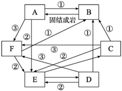 菁優(yōu)網(wǎng)