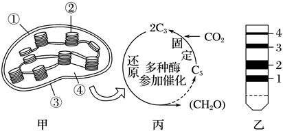 菁優(yōu)網(wǎng)