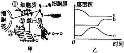 菁優(yōu)網