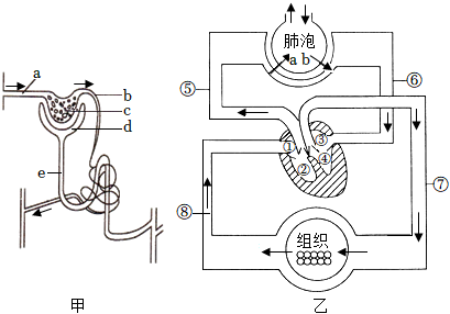 菁優(yōu)網(wǎng)