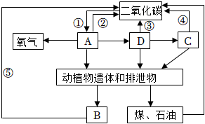 菁優(yōu)網(wǎng)