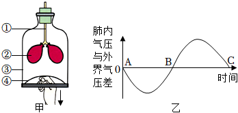 菁優(yōu)網(wǎng)