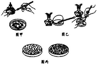 菁優(yōu)網(wǎng)