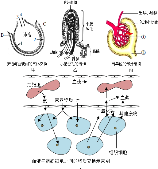 菁優(yōu)網(wǎng)