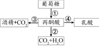 菁優(yōu)網(wǎng)