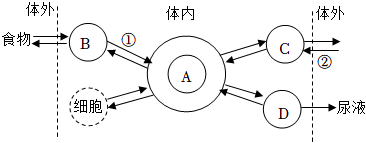 菁優(yōu)網(wǎng)