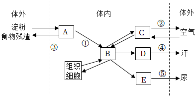 菁優(yōu)網(wǎng)