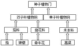 菁優(yōu)網