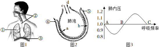 菁優(yōu)網