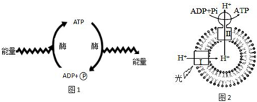 菁優(yōu)網